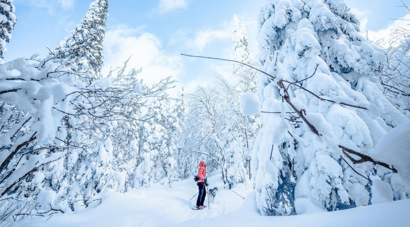 Une image de Tourisme Chaudière-Appalaches